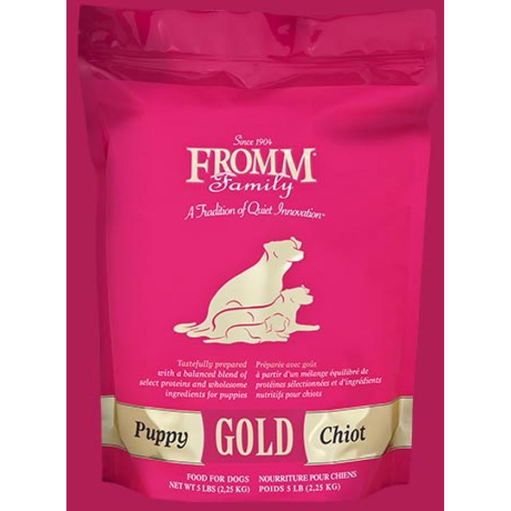 Gold Puppy Gold Puppy