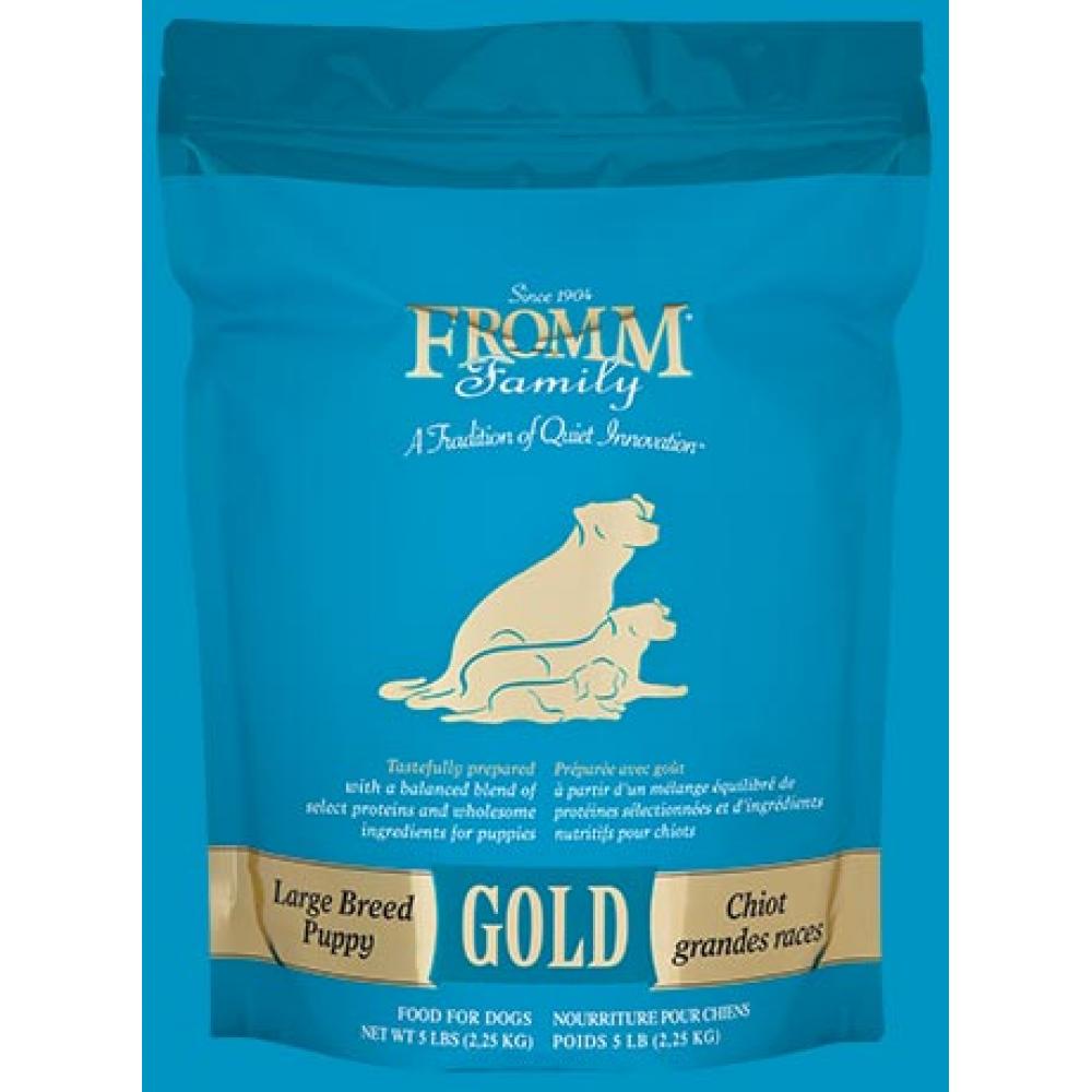 Gold Puppy - Large Breed Gold Puppy - Large Breed