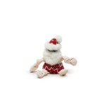 HuggleHounds Beach Santa 17