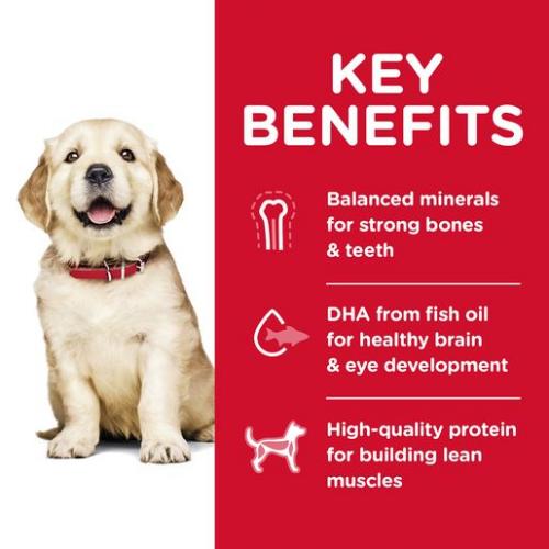 Hill's S.D. Large Breed Puppy - Chicken & Oats Recipe
