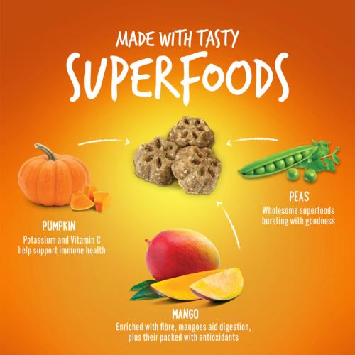 Fruitables Skinny Minis Soft Dog Treats Pumpkin & Mango 5 oz