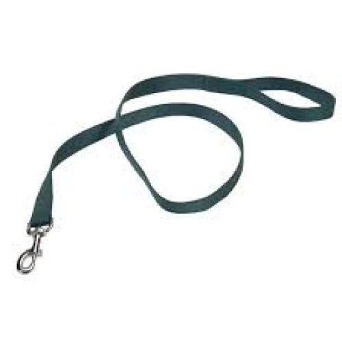Nylon Hunter Green Leash