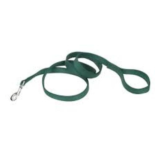 Nylon Hunter Green Leash