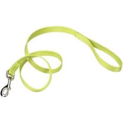 Nylon Lime Leash