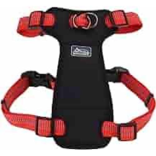 Coastal K9 Explorer Canyon Harness