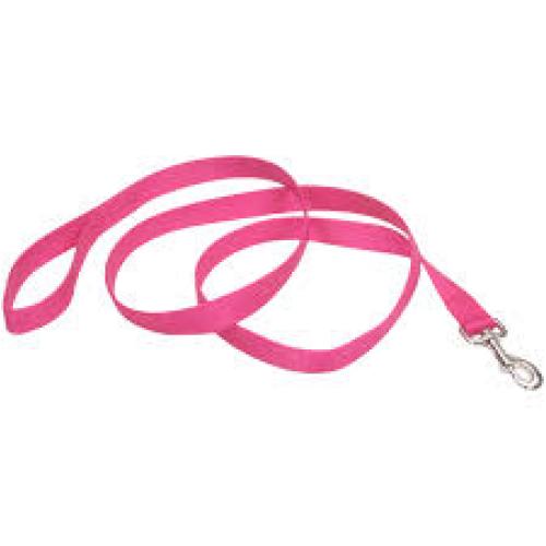 1" Nylon 4' Neon Pink Leash
