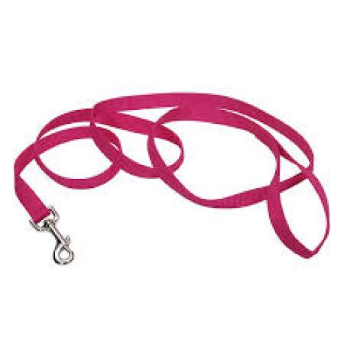 Nylon Leash Pink Flamingo