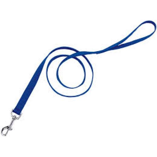 Nylon Blue Lagoon Leash