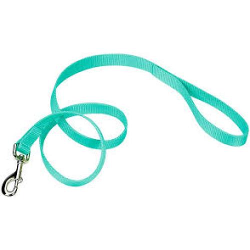 Nylon Teal Leash