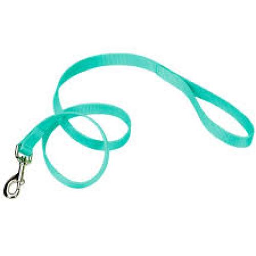 Nylon Teal Leash