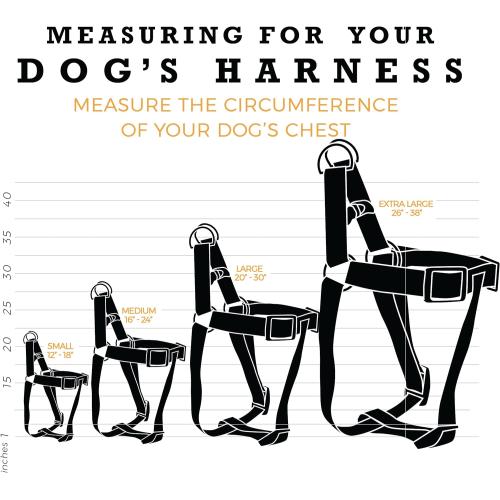 WolfGang Dog Harness