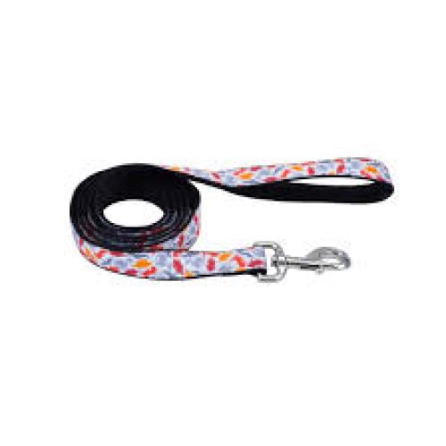 Coastal Dinosaur Leash