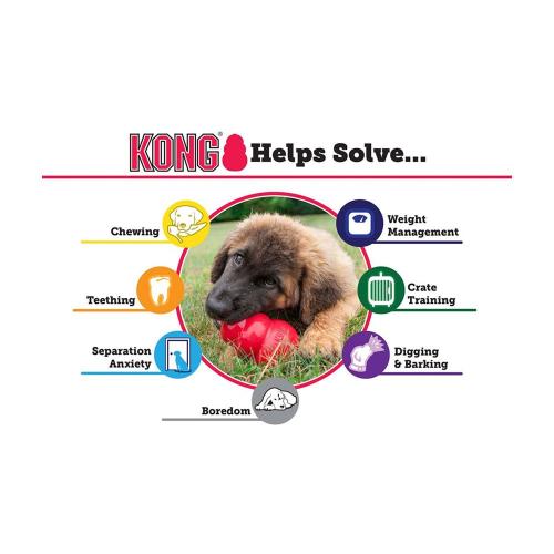 KONG Classic Dog Toy