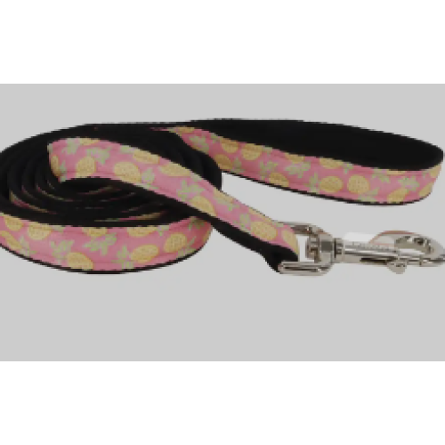Coastal Pineapple Leash
