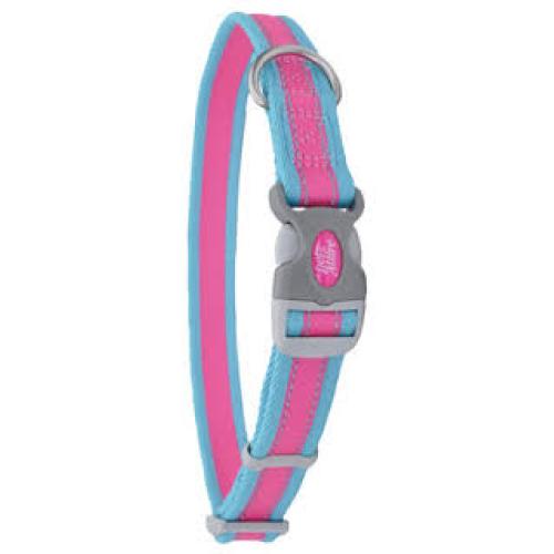 Coastal Pro Reflective Collar Fuscia And Teal