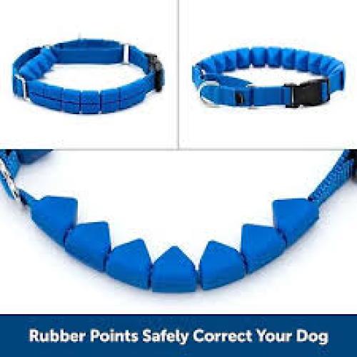 PetSafe Soft Point Training Collar Blue