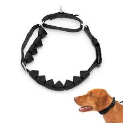 PetSafe Soft Point Training Collar Black