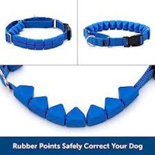 PetSafe Soft Point Training Collar Blue