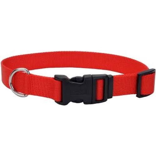 Coastal Collar with buckle Red