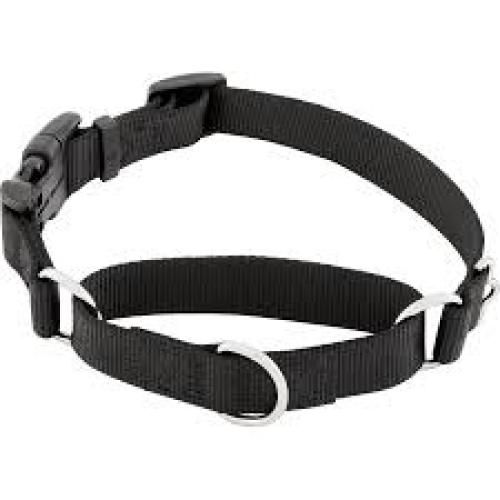 Coastal Collar with buckle Black