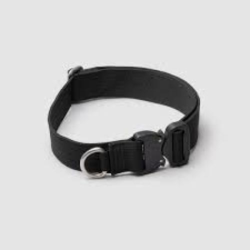 Coastal Collar with buckle Black