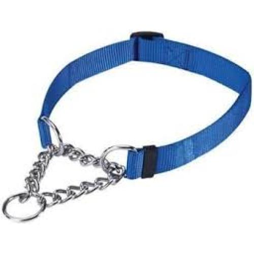 Coastal Training Blue Collar