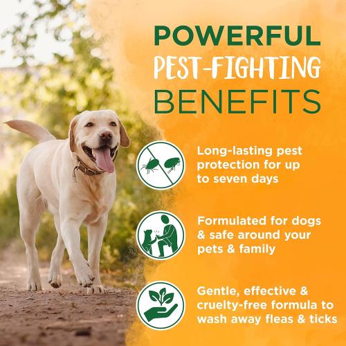 TropiClean Natural Flea Tick Soothing Shampoo for Dogs 20 oz