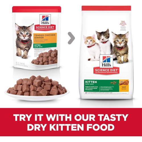 Hills Kitten Tender Chicken Dinner Chunks & Gravy