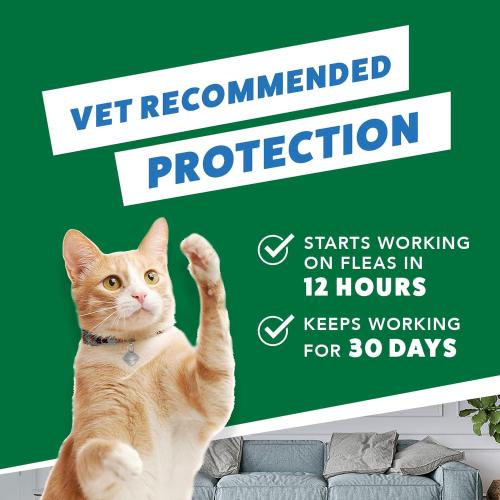 Elenco Advantage 2 Kitten 2-5 lbs 2 pack 
