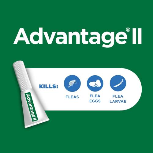 Elenco Advantage 2 Kitten 2-5 lbs 2 pack 