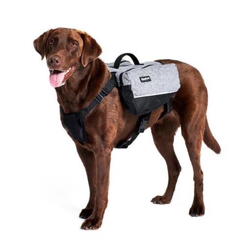 ZippyPaws Graphite Backpack