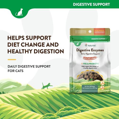 NaturVet Scoopables Digestive Enzymes for Cats 5.5 oz