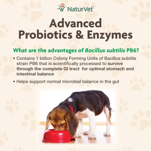 NaturVet Advanced Probiotics  Enzymes Soft Chews 70 chews