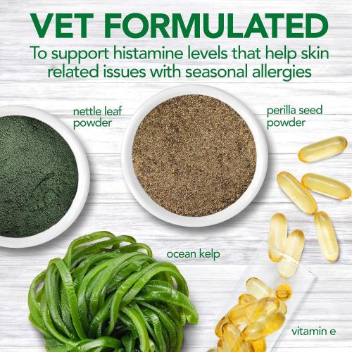 Vet's Best Best Seasonal Allergy Support All Sizes 1yr+ 60 chews