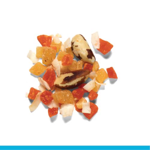 ZuPreem Real Rewards Tropical Mix Large Bird Treats 6 oz