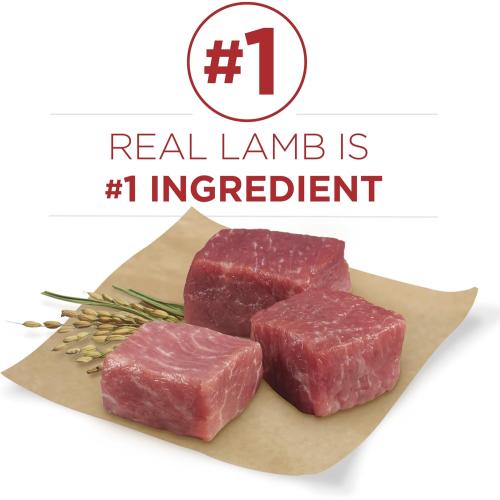 Purina ONE SmartBlend Lamb & Rice Adult Dry Dog Food 8 Lbs