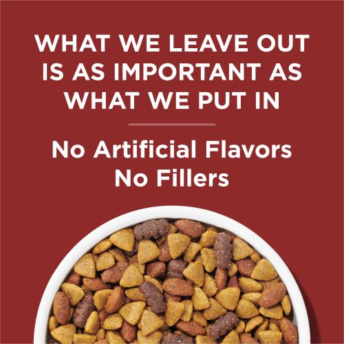 Purina Dog Chow Beef Flavor Dry Dog Food 44 lb