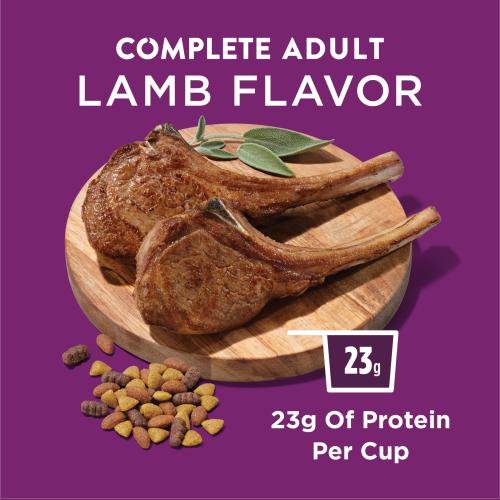 Dog Chow Complete Lamb Dry Food