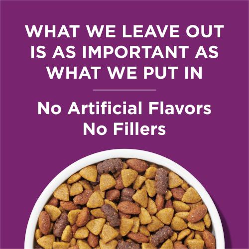 Dog Chow Complete Lamb Dry Food