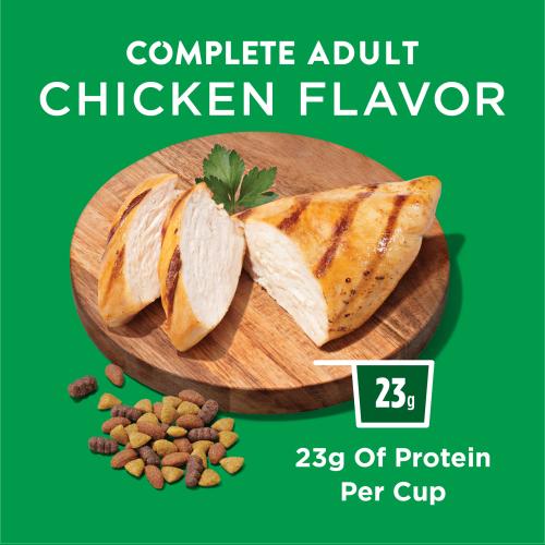 Purina Dog Chow Chicken Flavor Dry Food