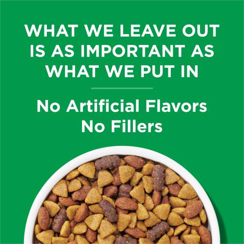 Purina Dog Chow Chicken Flavor Dry Food