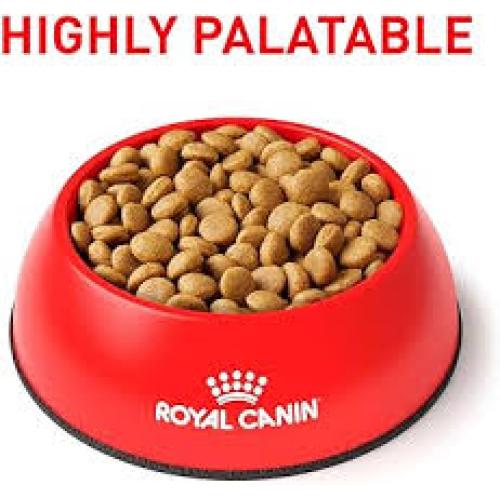 PD Royal Canin Veterinary Diet Feline Gastrointestinal Dry Cat Food