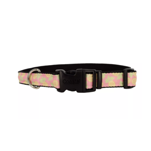 Costal Pineapple Collar