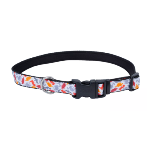 Coastal Dinosaurs Collar