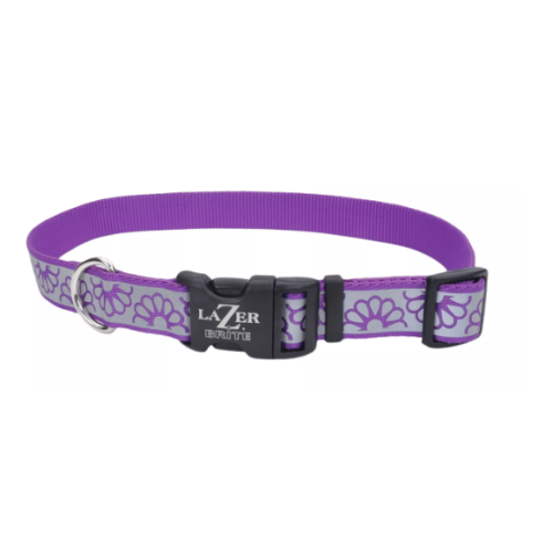 Coastal Lazer Brigth Purple Daisy Collar