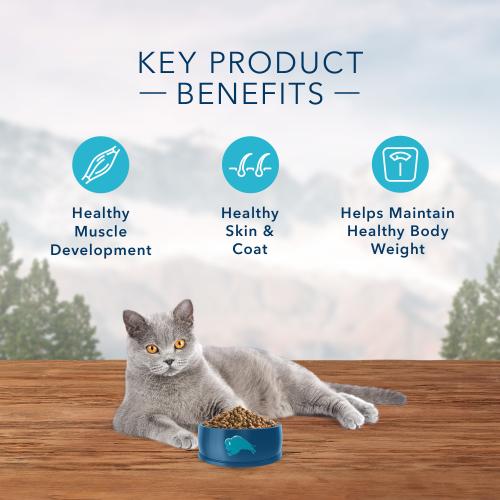 BLUE Wilderness Indoor Grain Free Chicken Adult Cat Food