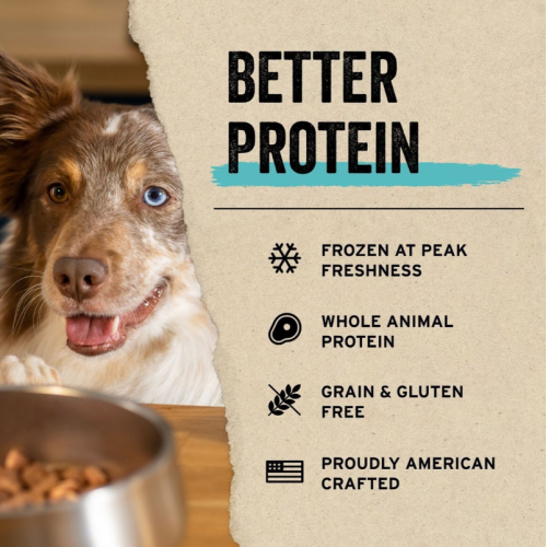 VE Freeze Dried Beef Entree Nibs
