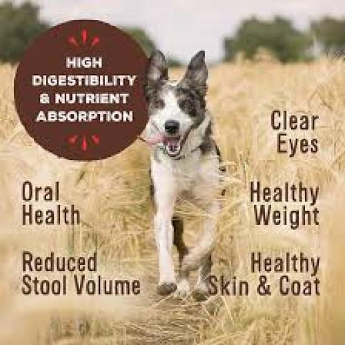 Primal Freeze Dried Nuggets Beef formula