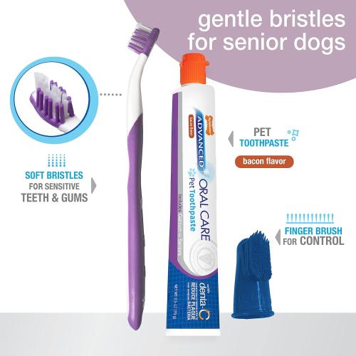 Nylabone Advance Oral Care Dental Kit Senior