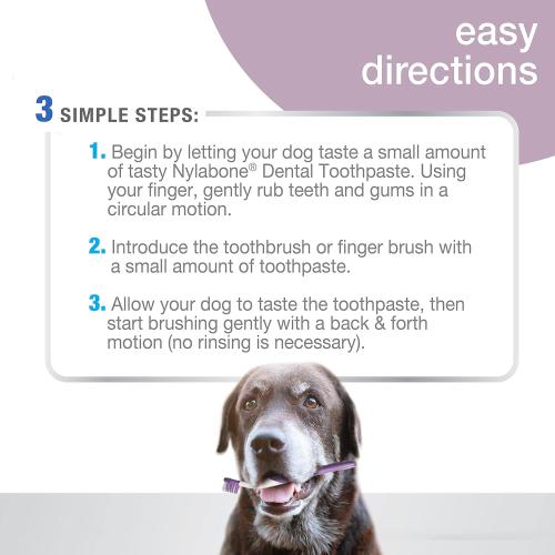 Nylabone Advance Oral Care Dental Kit Senior